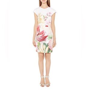 Ted Baker Encyclopedia Body-con